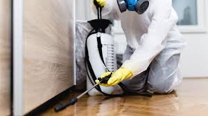 Professional Pest Control in Charlotte Park, FL